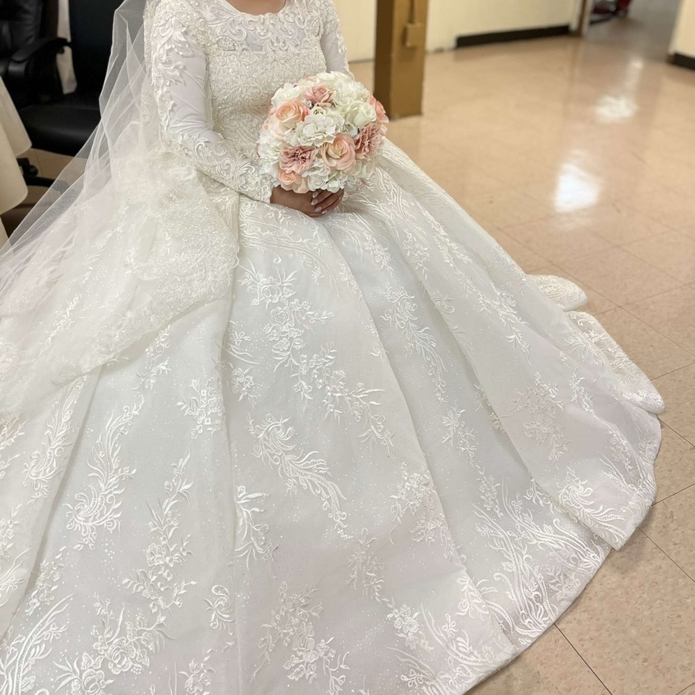 Ball gown Wedding dress